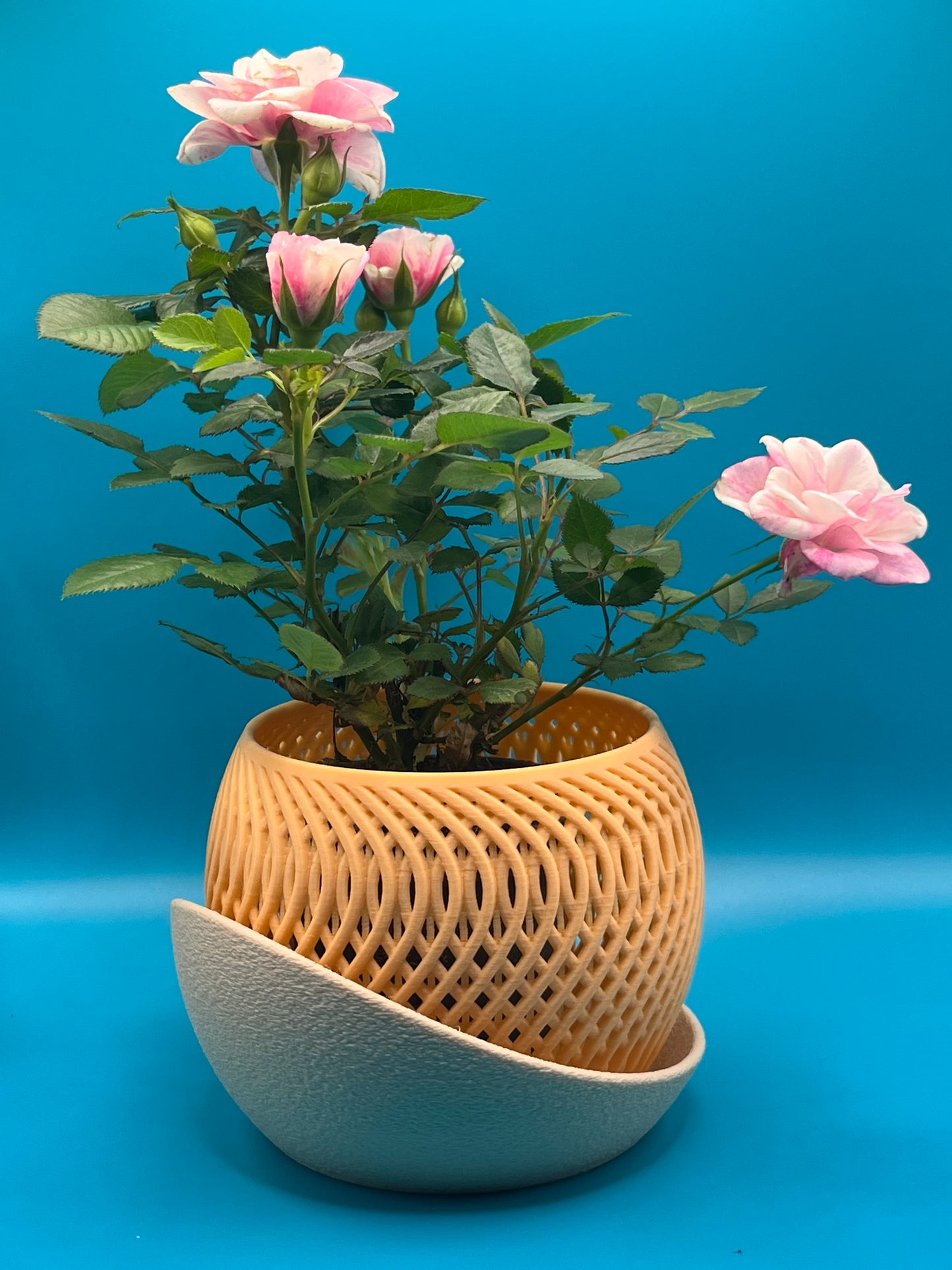 🌸 Mirage Orchideentopf mit Tropfschale | Modernes Design aus PLA | Größen: 80 mm & 100 mm 🌸