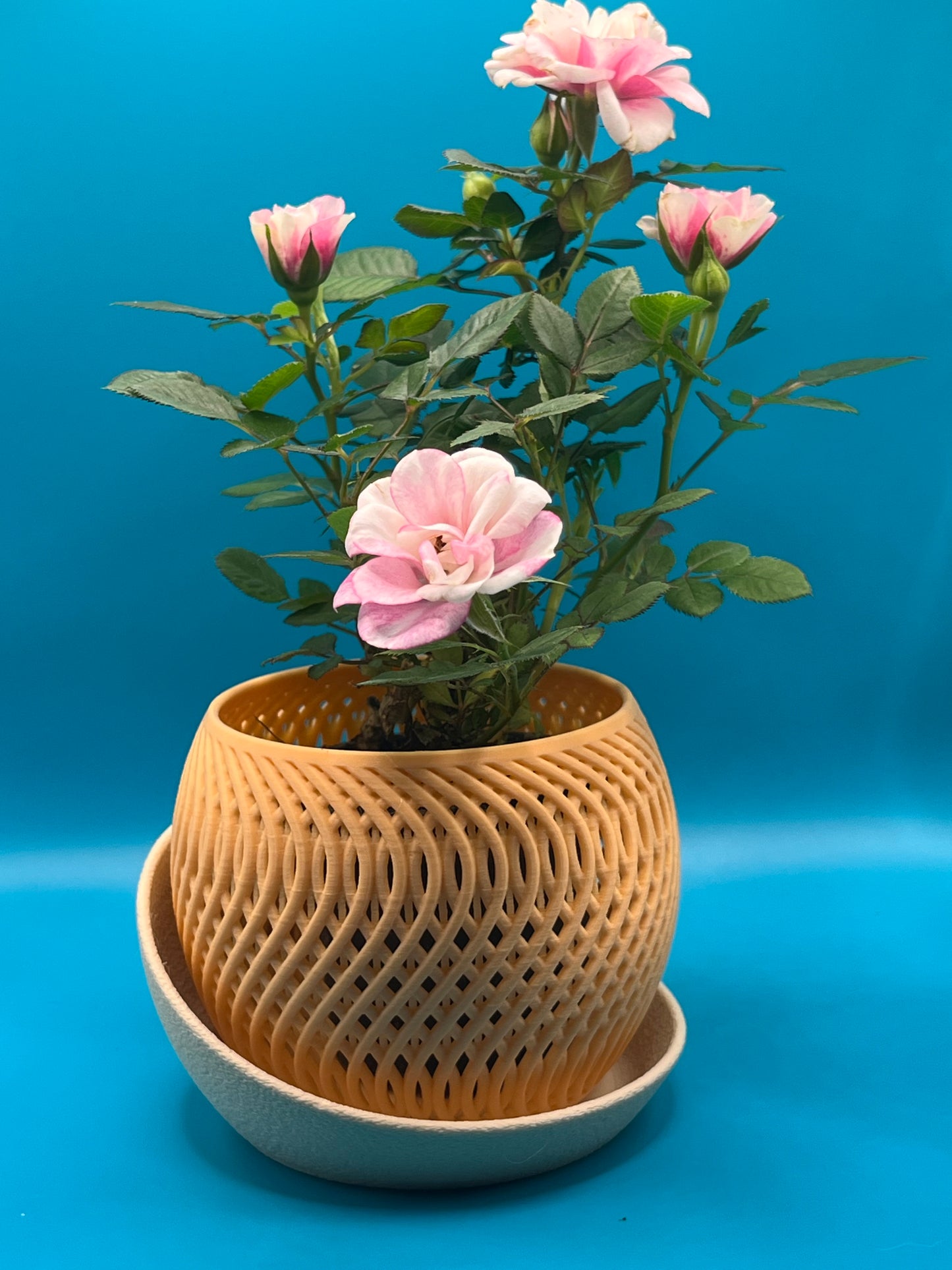 🌸 Mirage Orchideentopf mit Tropfschale | Modernes Design aus PLA | Größen: 80 mm & 100 mm 🌸