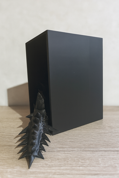 🐉 Book Nook „Dragon Emerging – der erwachende Drache“