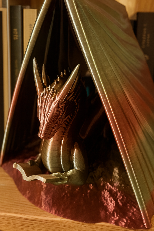 📚 Buchhalter „Wyrm – Drache“ – Magie für dein Bücherregal