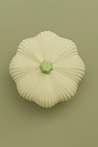 Moderne & minimalistische Kürbisdekoration